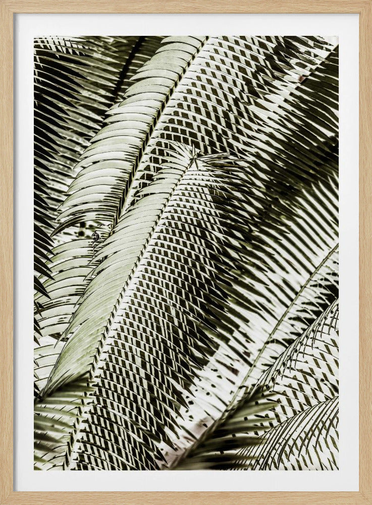 Shadow Dancing | Poster