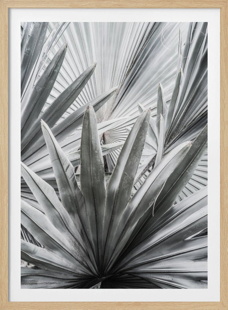 Silver Spray | Poster