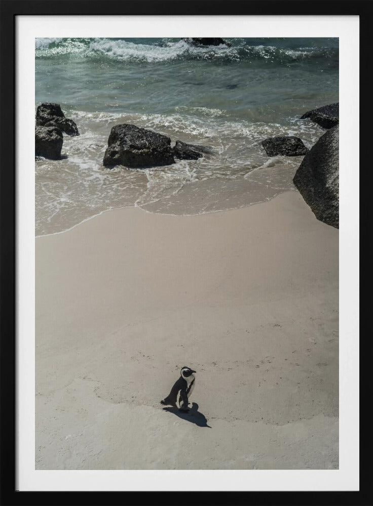 Lonely Beach Stroll | Poster