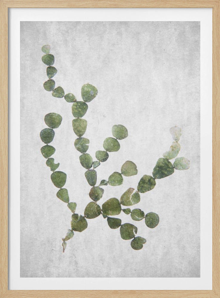 This Minimalist Artwork | Poster