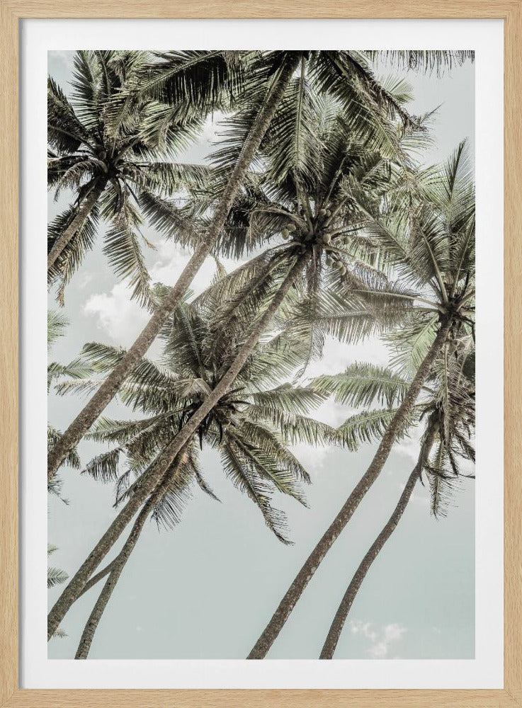 Wild Love | Poster