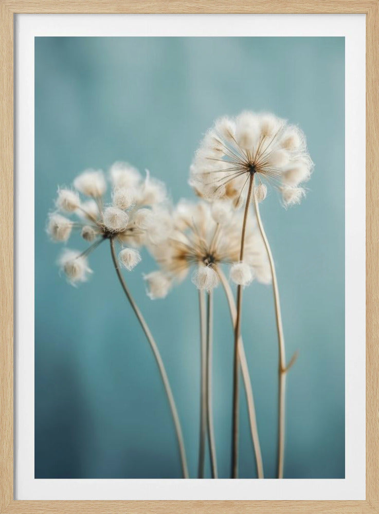 Puffs in the Breeze | Poster