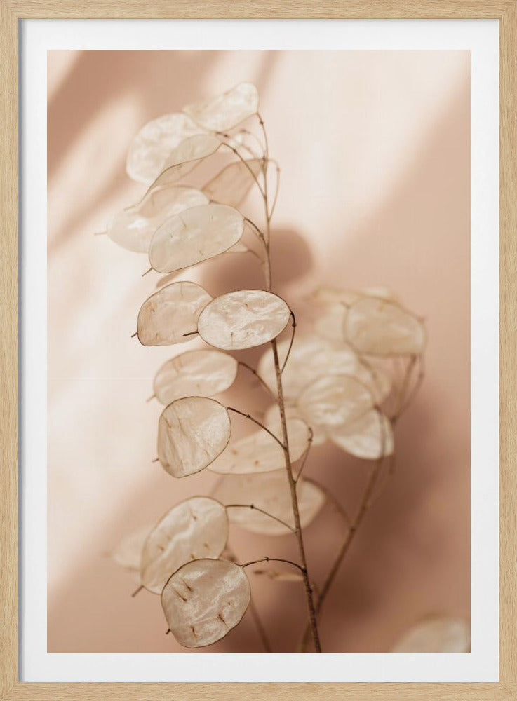 Last Summer 12 | Poster