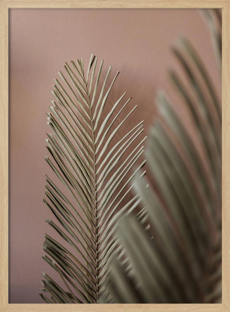 Last Summer 25 | Poster