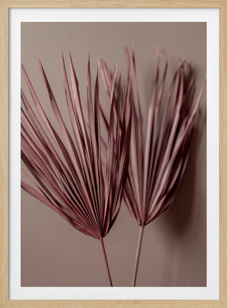 Last Summer 26 | Poster