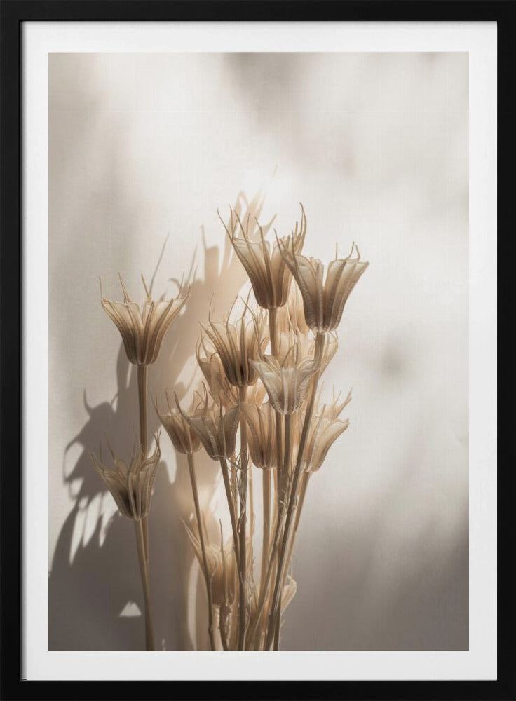 Last Summer 27 | Poster