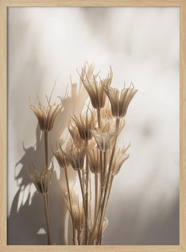 Last Summer 27 | Poster