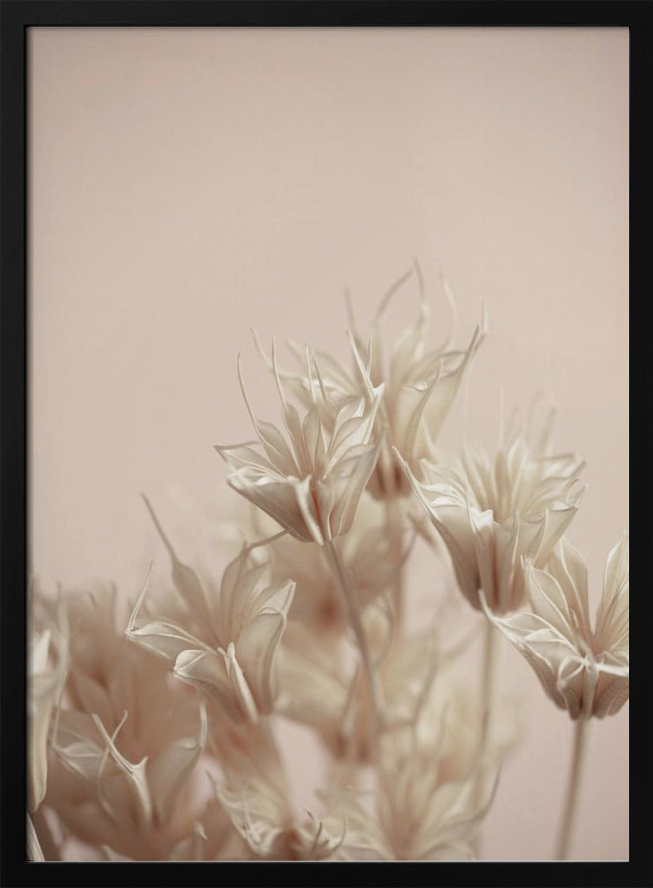 Last Summer 17 | Poster