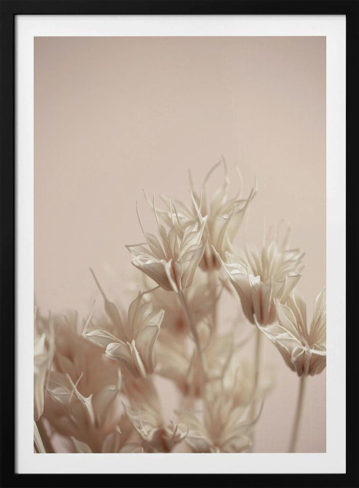 Last Summer 17 | Poster