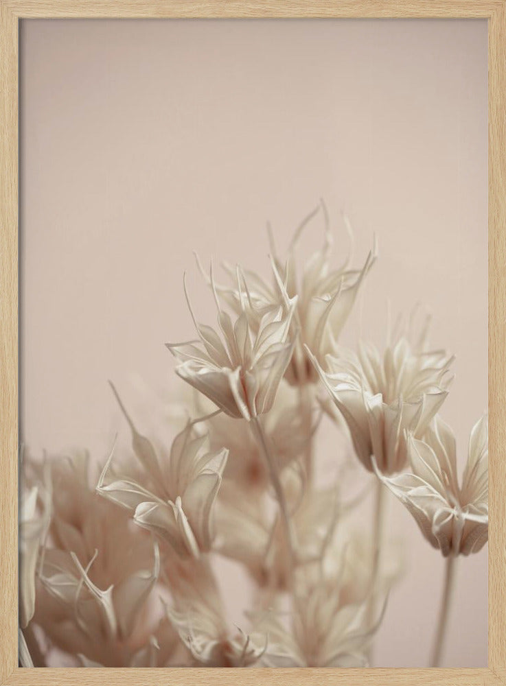 Last Summer 17 | Poster