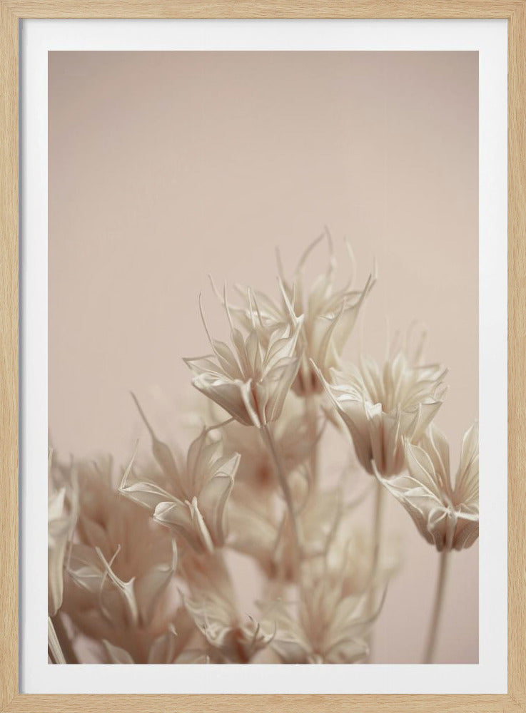 Last Summer 17 | Poster