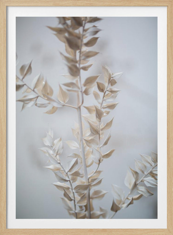 Last Summer 7 | Poster