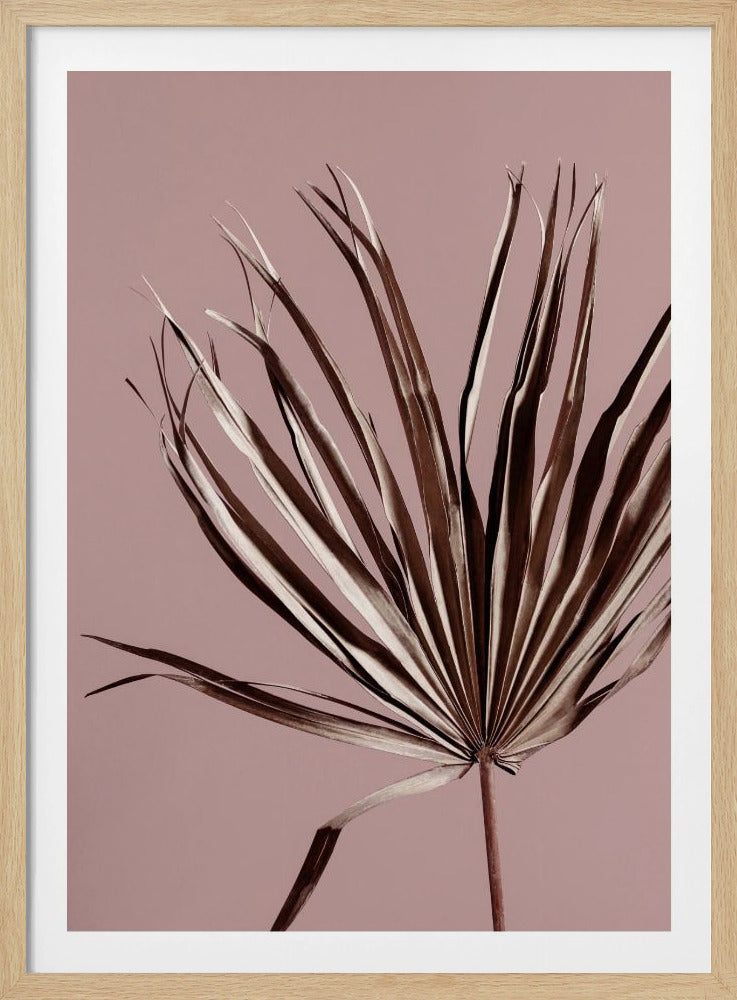 Last Summer 19X | Poster