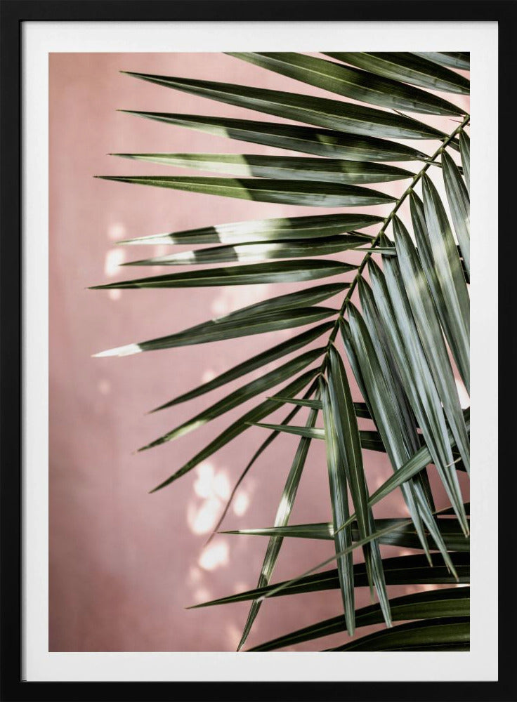 Palm Leaves 23 | Poster