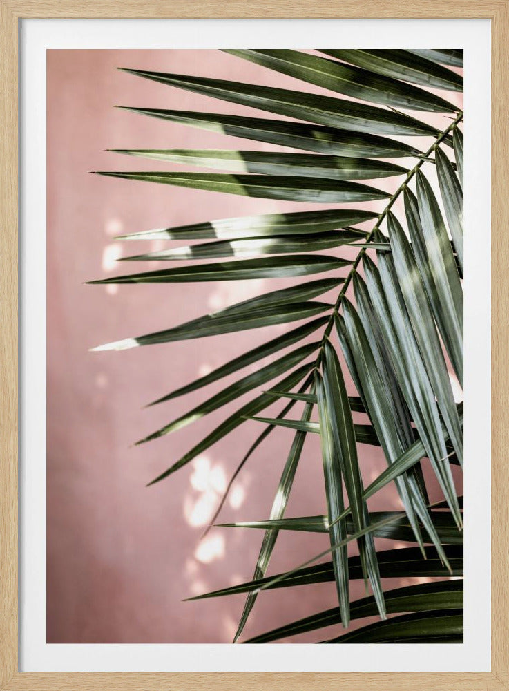 Palm Leaves 23 | Poster
