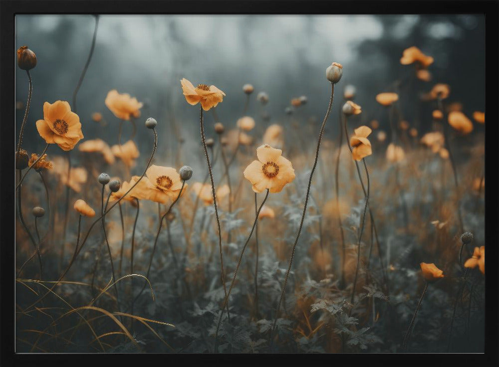 Golden Poppy Dream | Poster