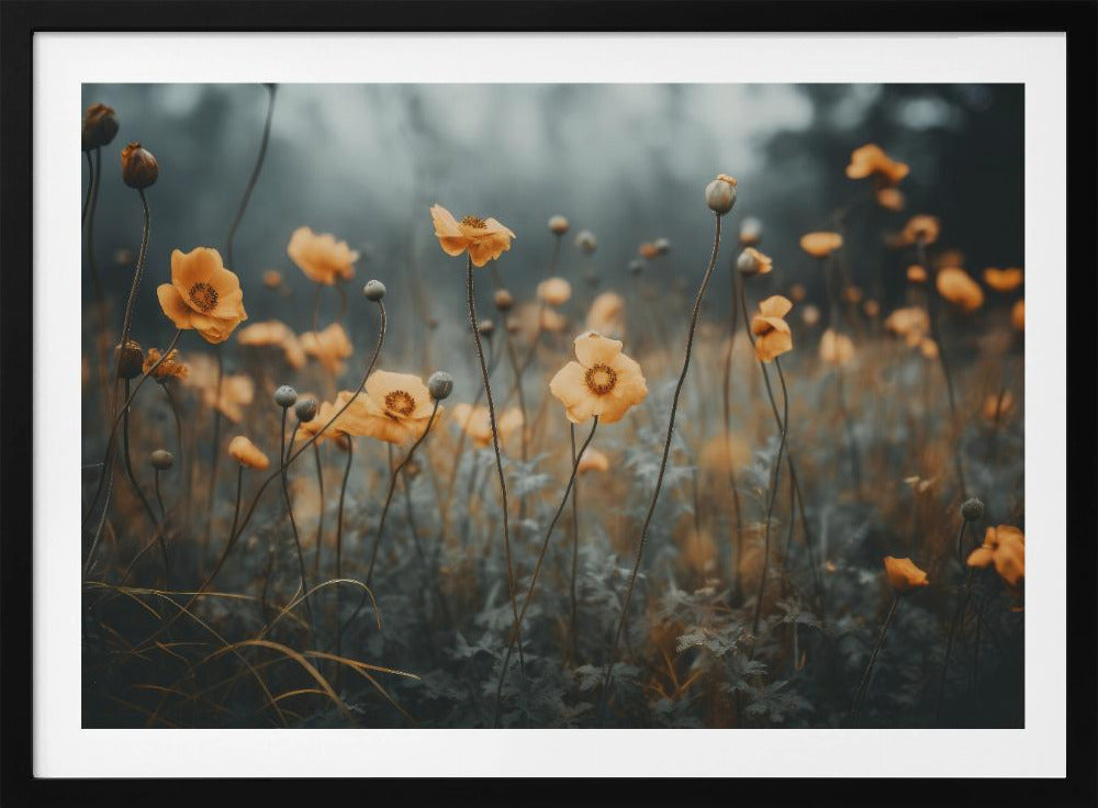 Golden Poppy Dream | Poster