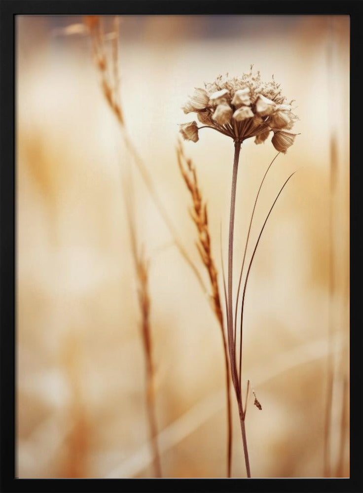 Whispering Fields | Poster