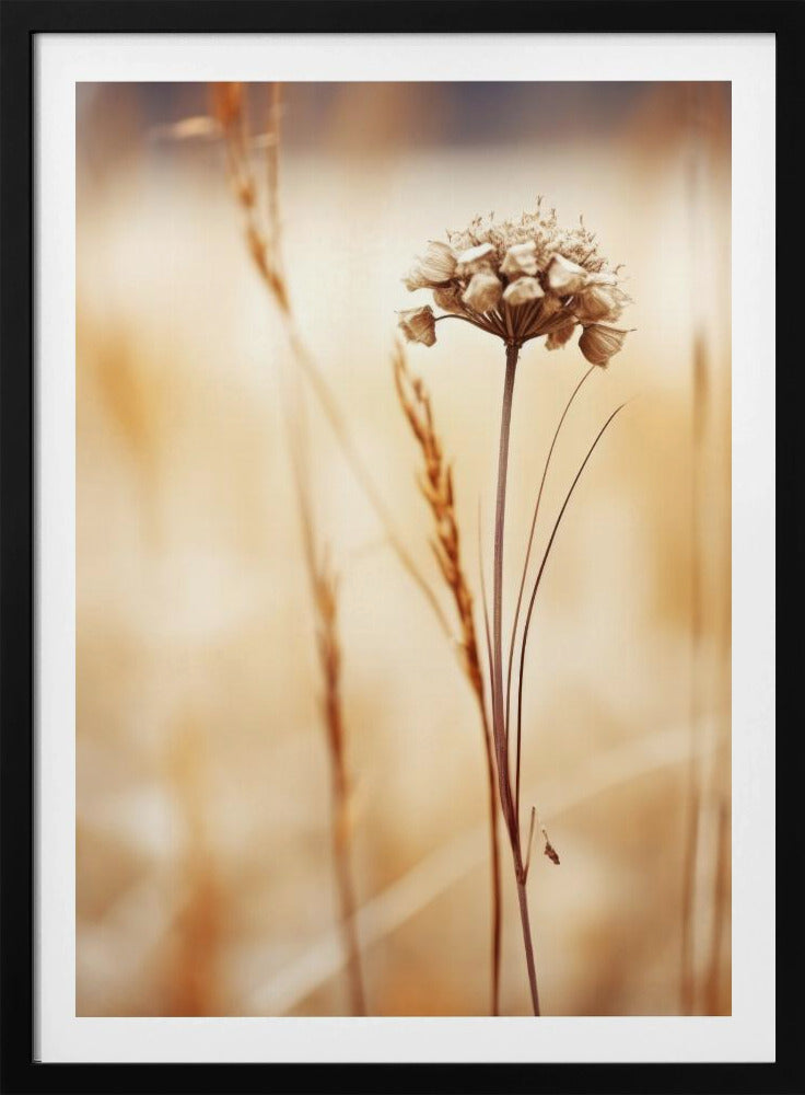 Whispering Fields | Poster