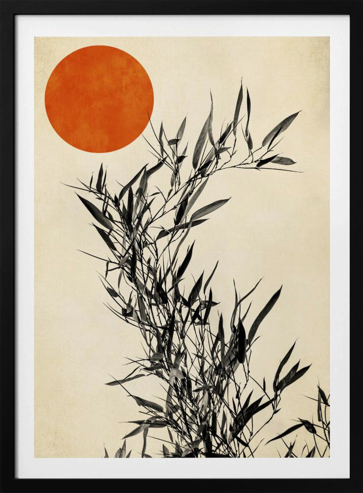 Japanese Birch | Poster