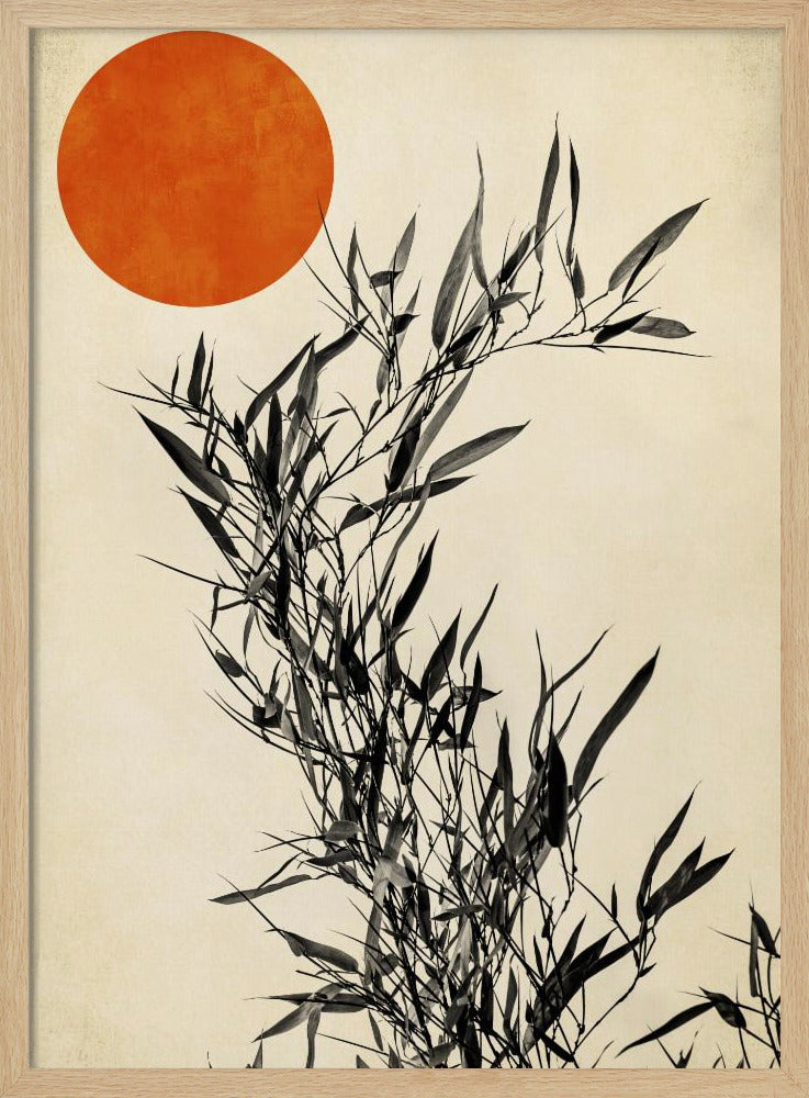 Japanese Birch | Poster