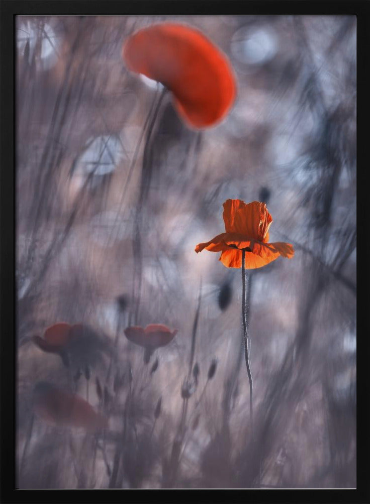 Desires and Passions | Poster