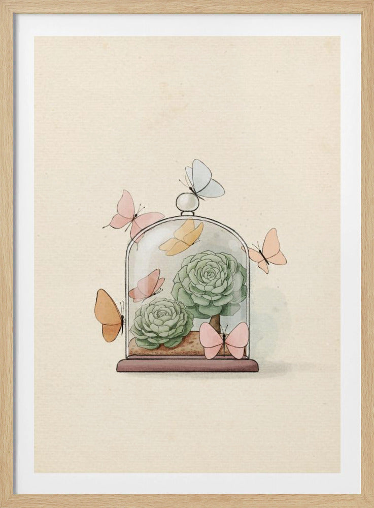 Succulent Fairy Plant | Poster