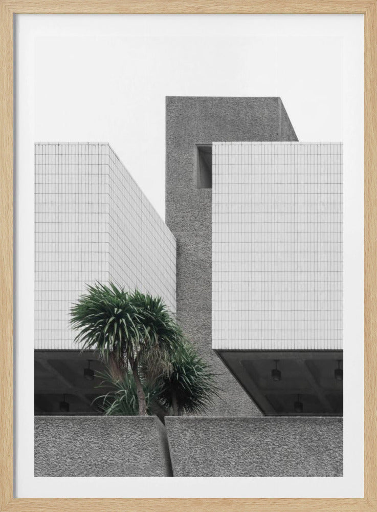 Lonely Palms | Poster