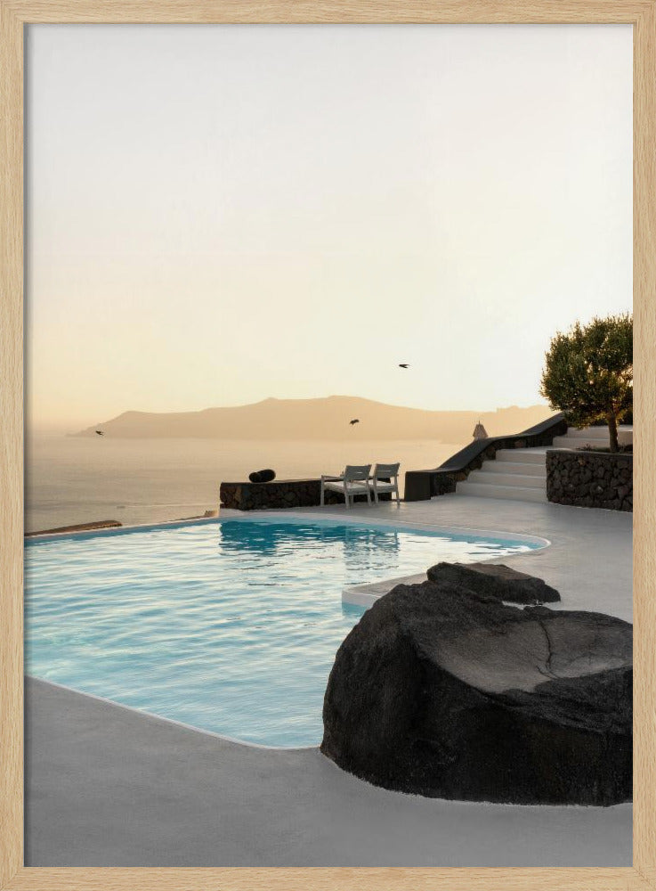 Birds Flying Over Swimming Pool | Poster