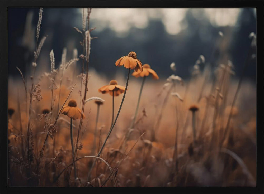 Golden Blossom Field | Poster