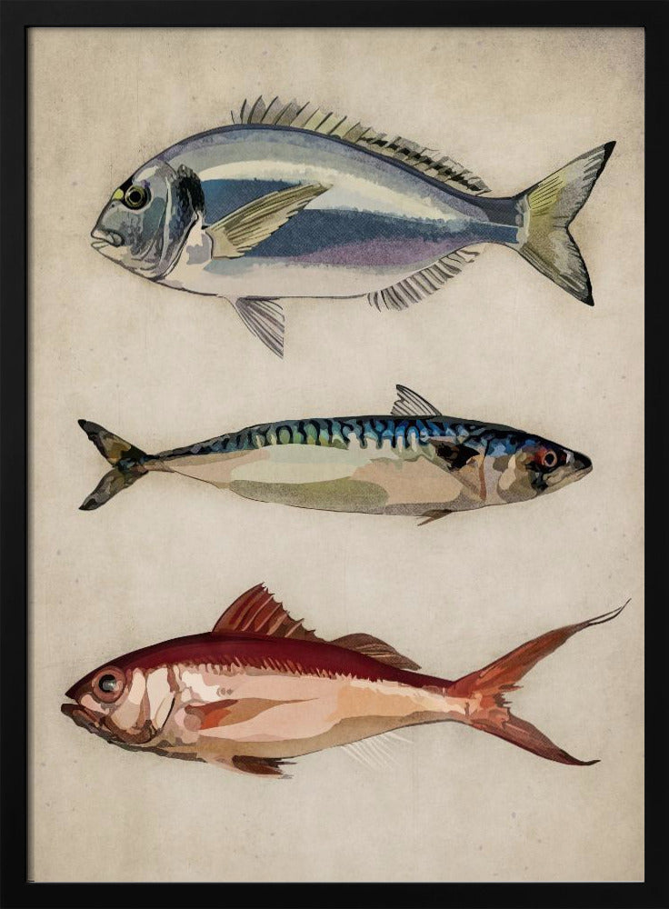 Trio of Ocean Life | Poster