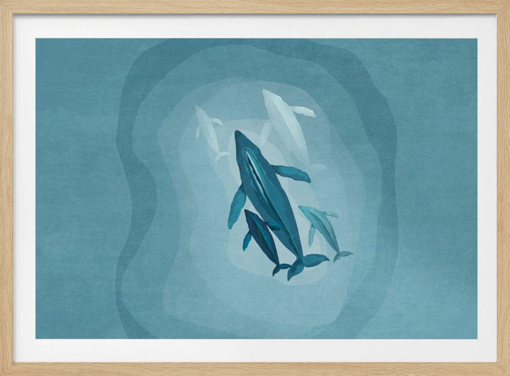 Gentle Giants Swim | Poster