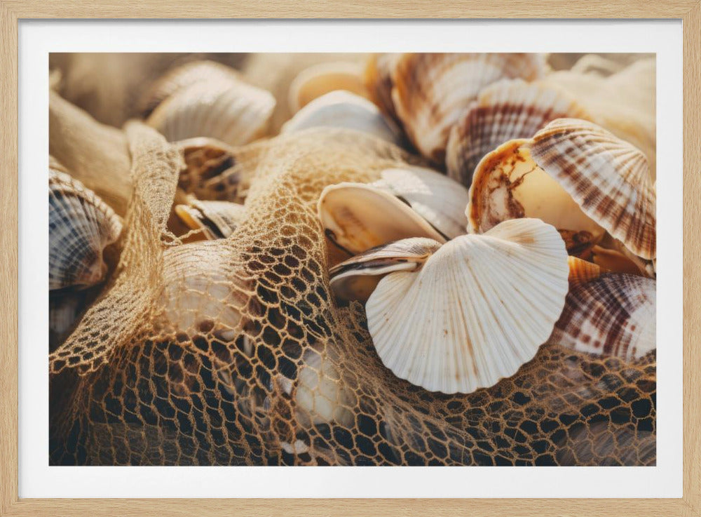 Seashell Symphony | Poster