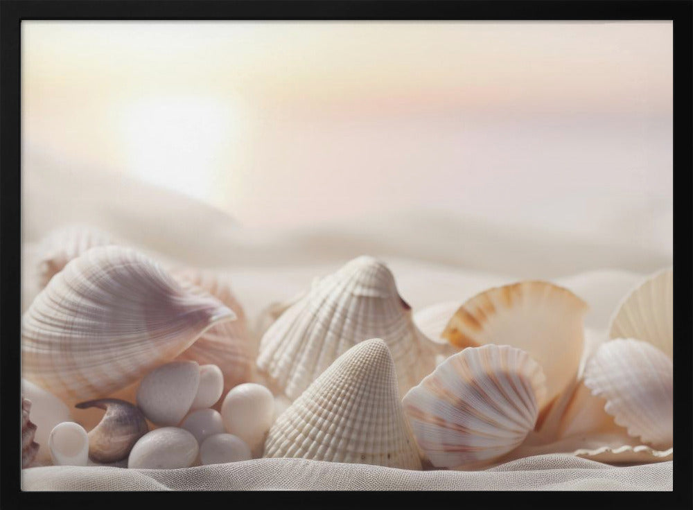 Seashell Serenity | Poster