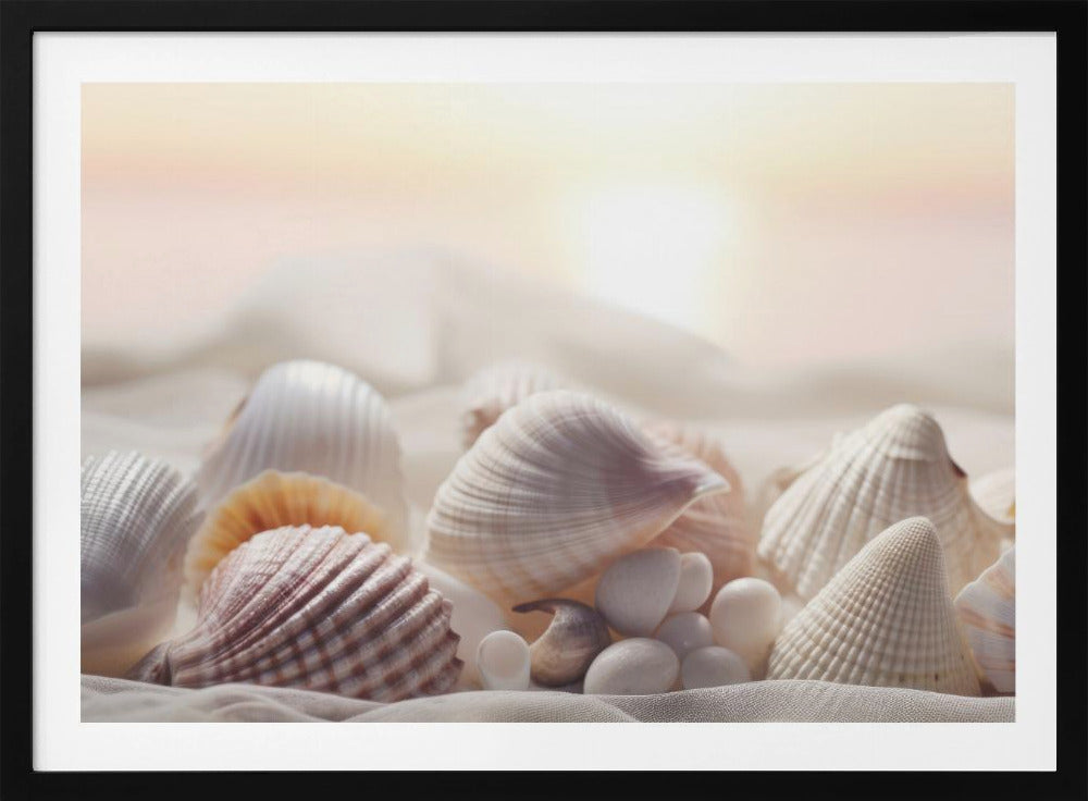 Seashell Serenity | Poster