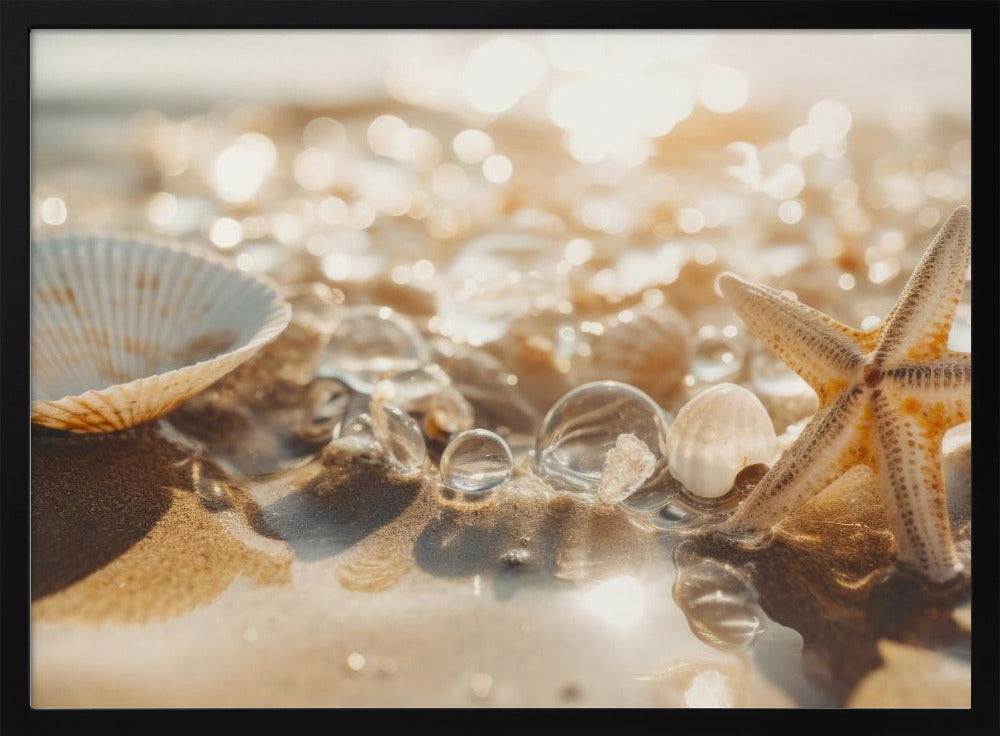 Sandy Treasures | Poster