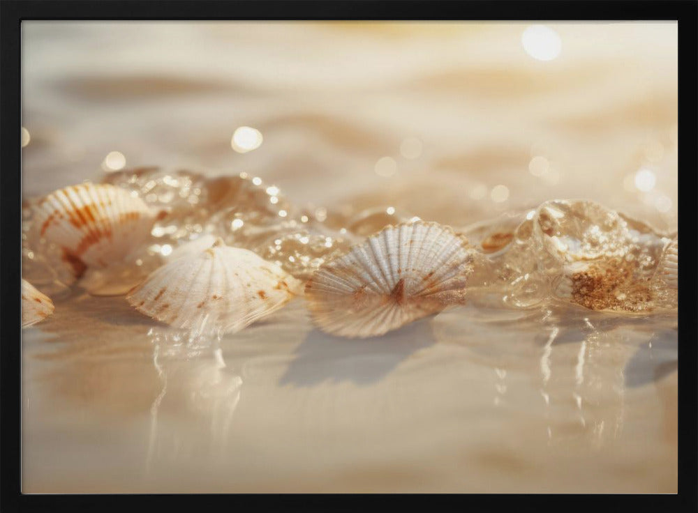 Seashell Serenade | Poster