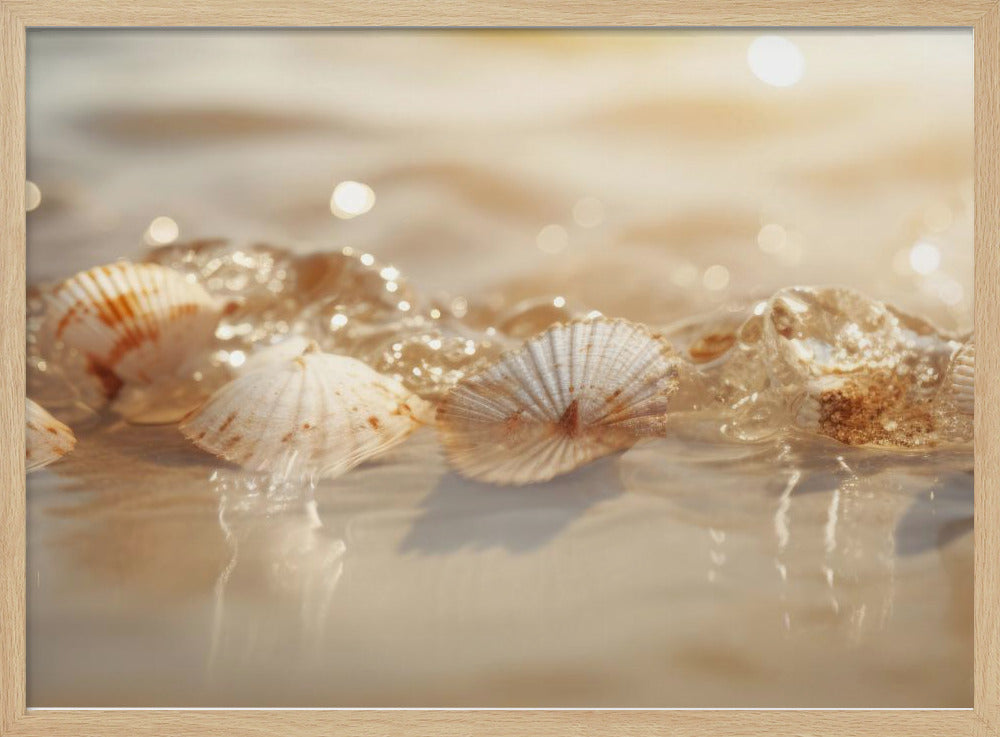 Seashell Serenade | Poster