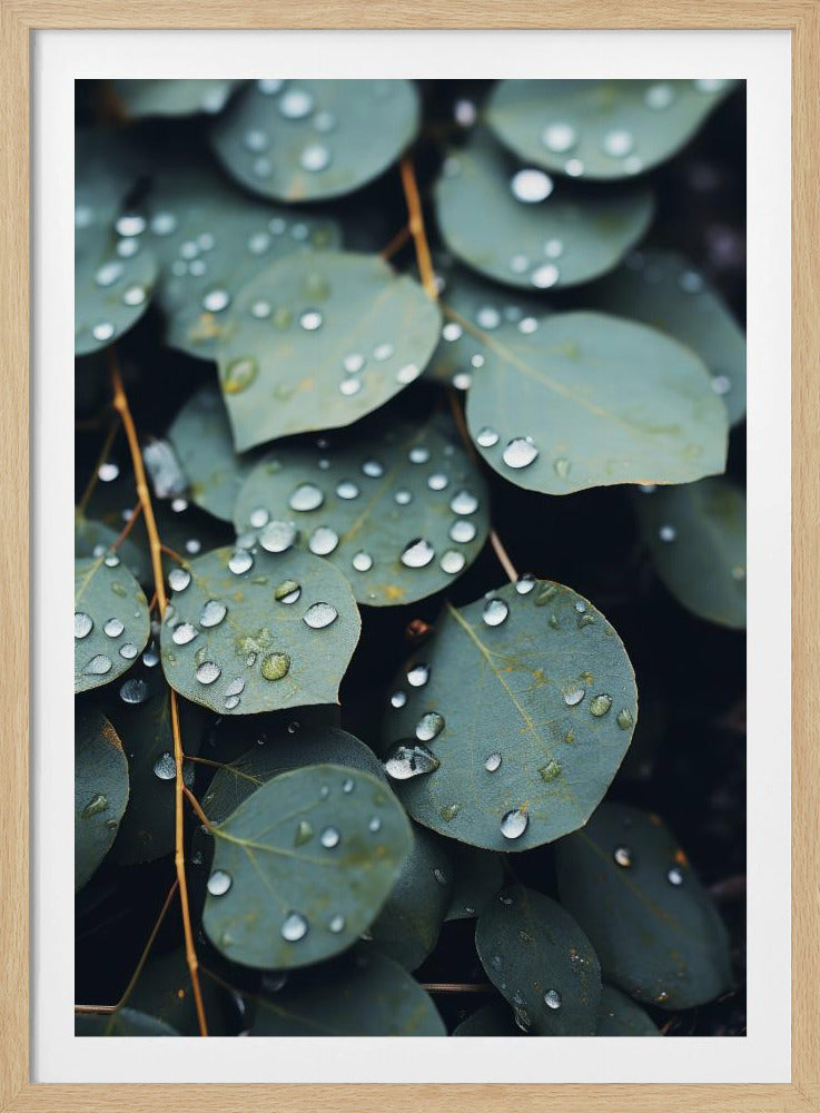 Rain-Kissed Leaves | Poster