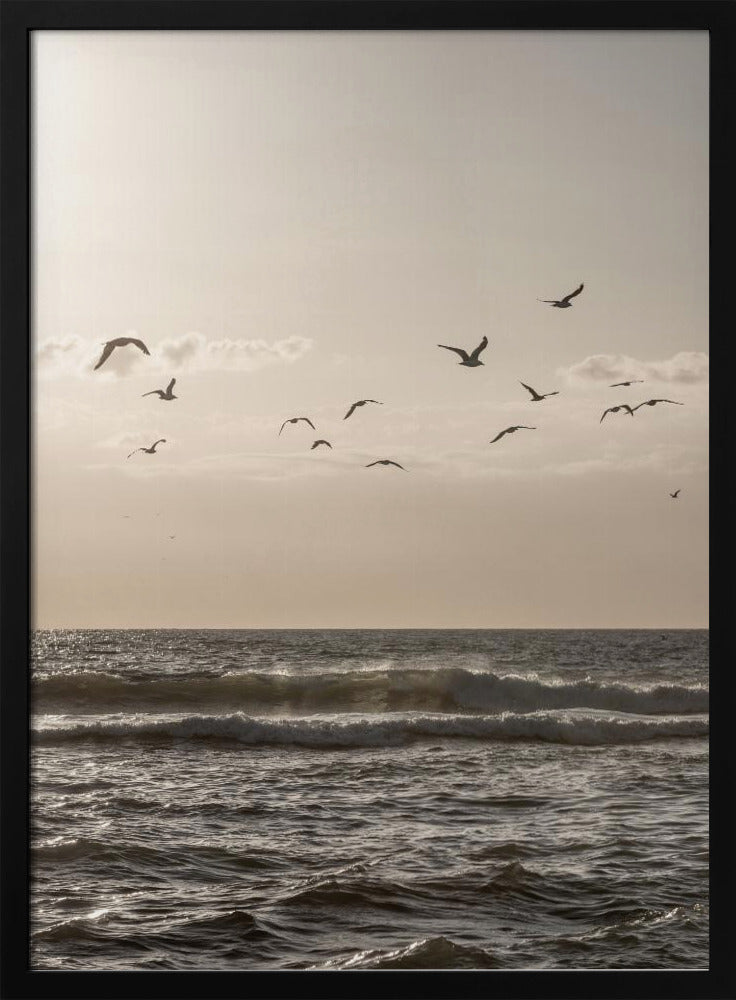 Birds and the Sea 3 | Poster