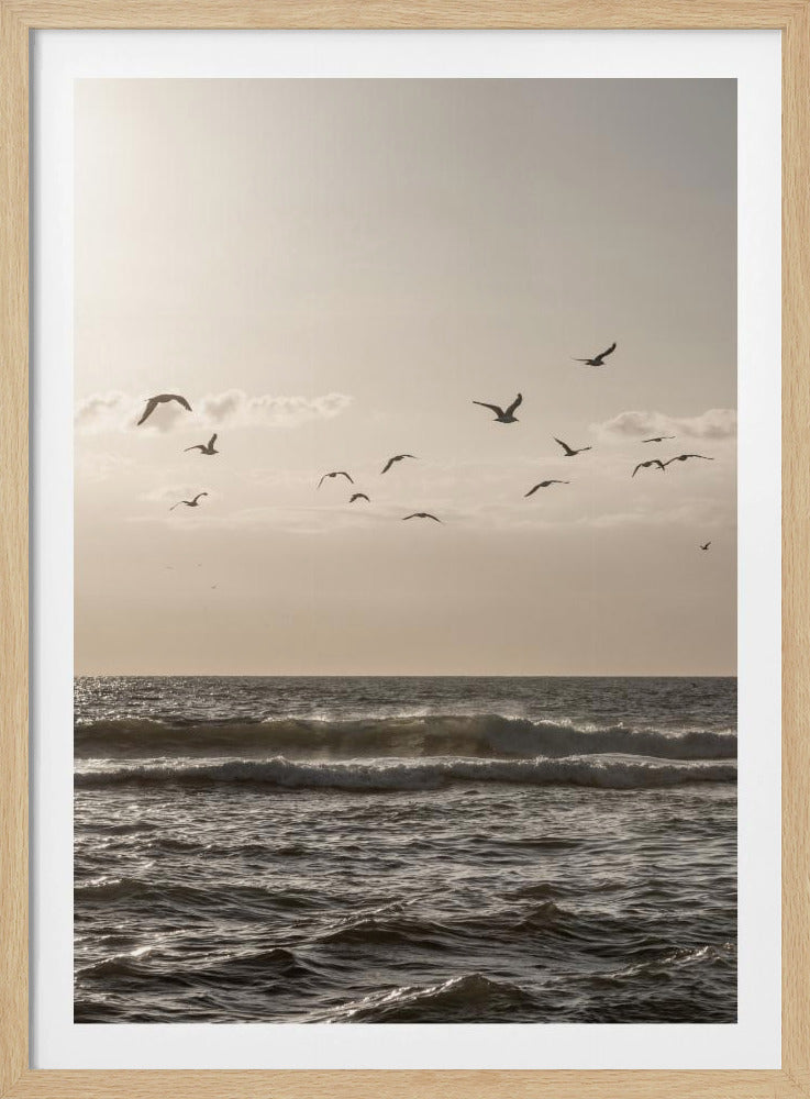 Birds and the Sea 3 | Poster
