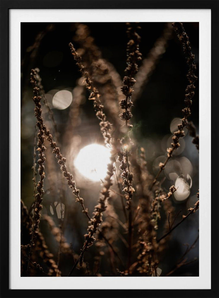 Natural Sparkle 2 | Poster