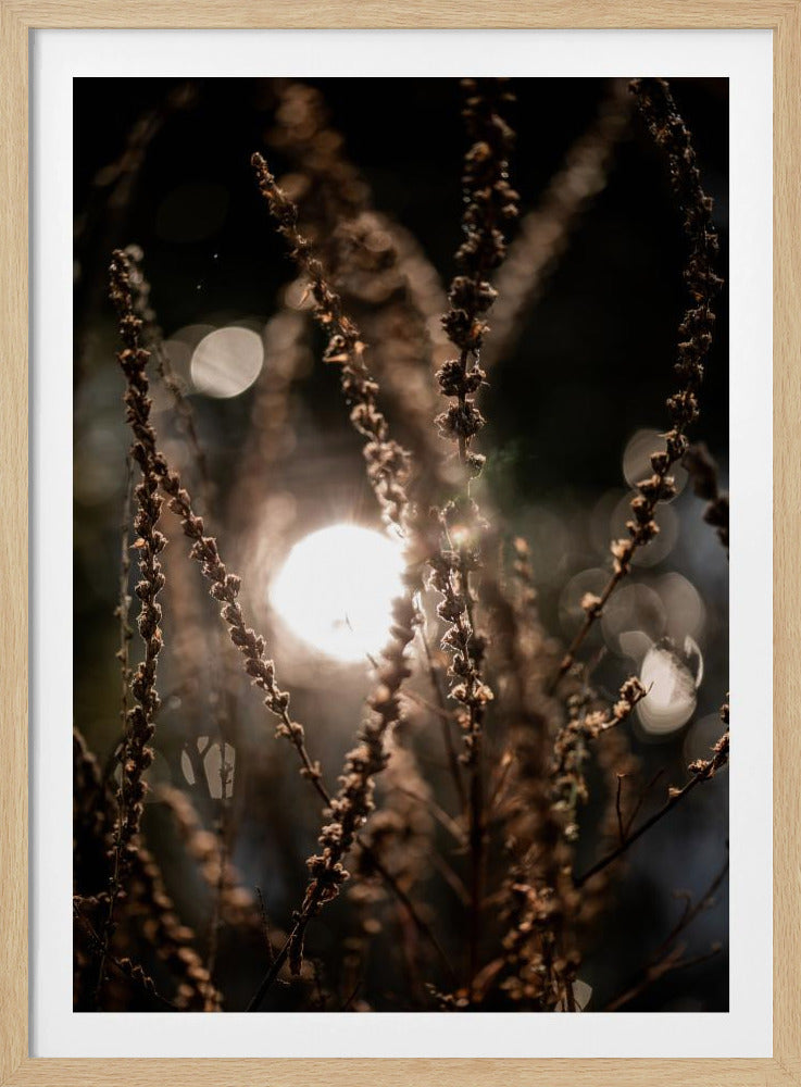 Natural Sparkle 2 | Poster