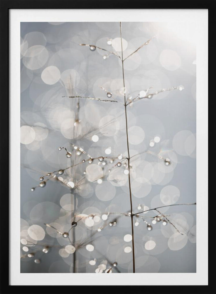 Natural Sparkle | Poster