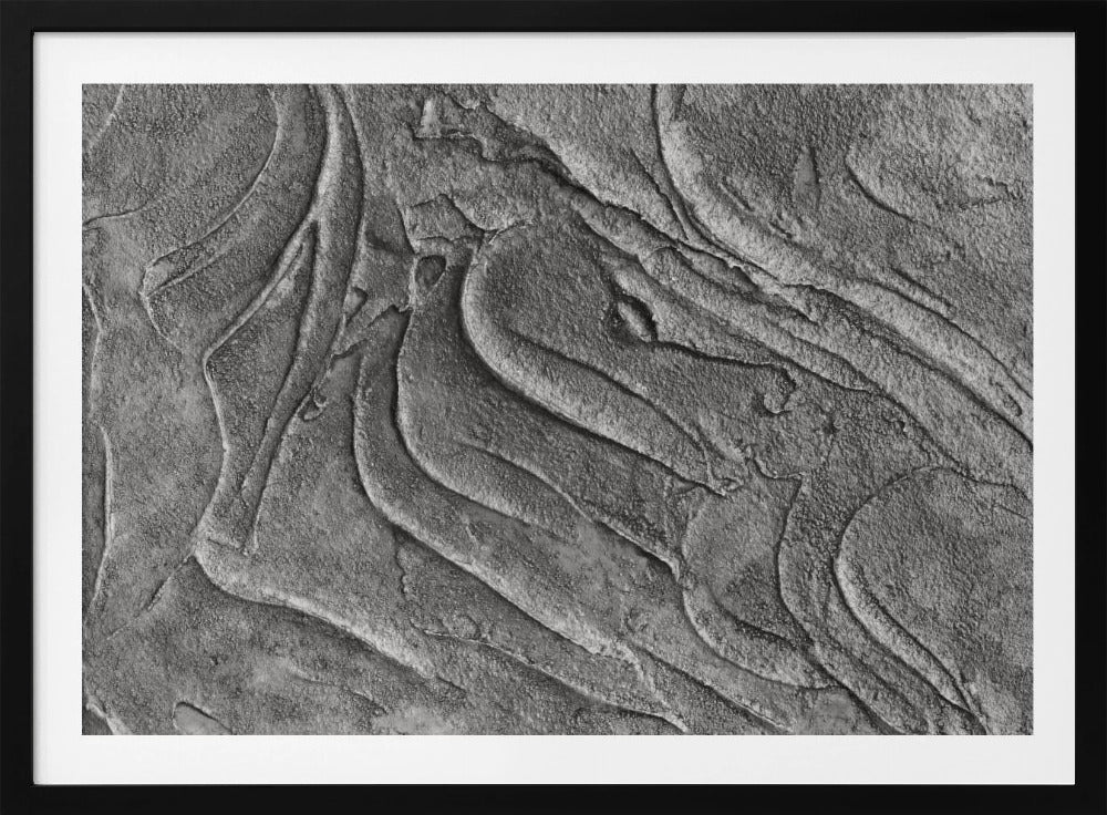 Tex1 1 Grey Dsc4506 | Poster