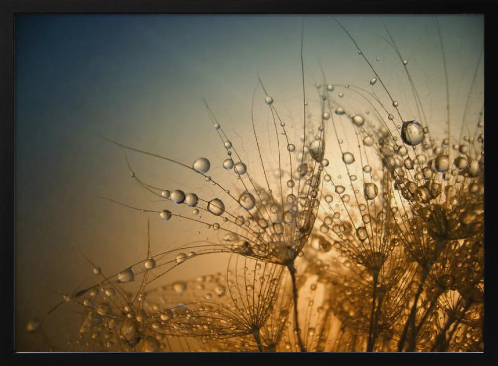 Tender is the Night | Poster