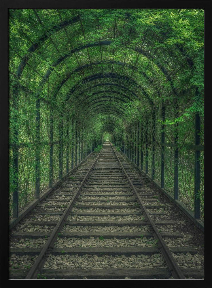 Green Tunnel | Poster
