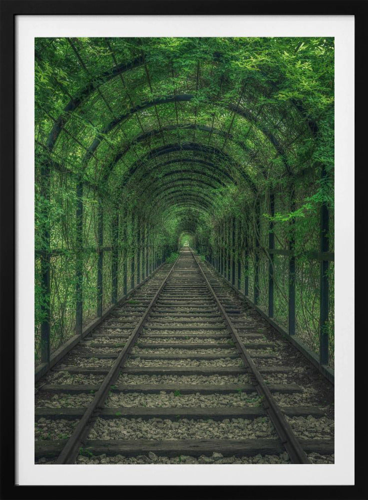 Green Tunnel | Poster