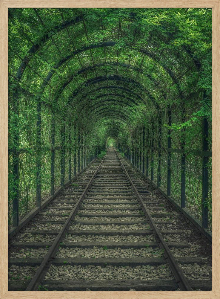 Green Tunnel | Poster