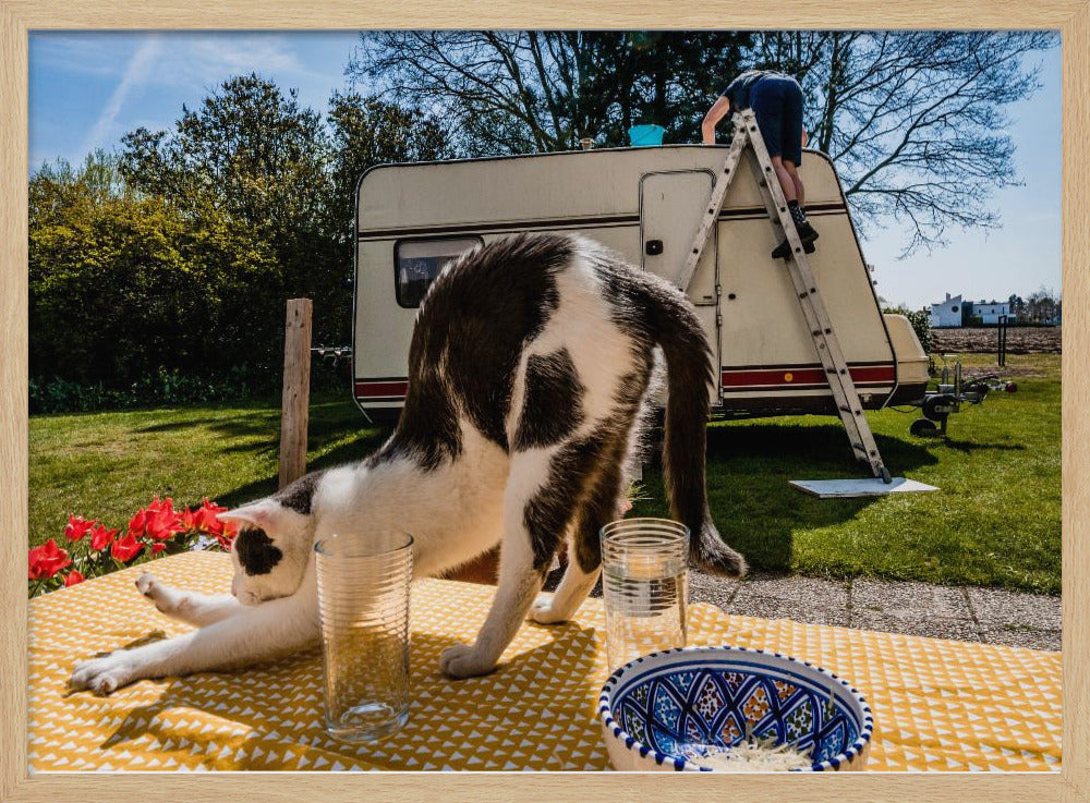 Simular poses... | Poster